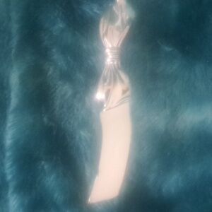 Elegant Silver Cheese Knife